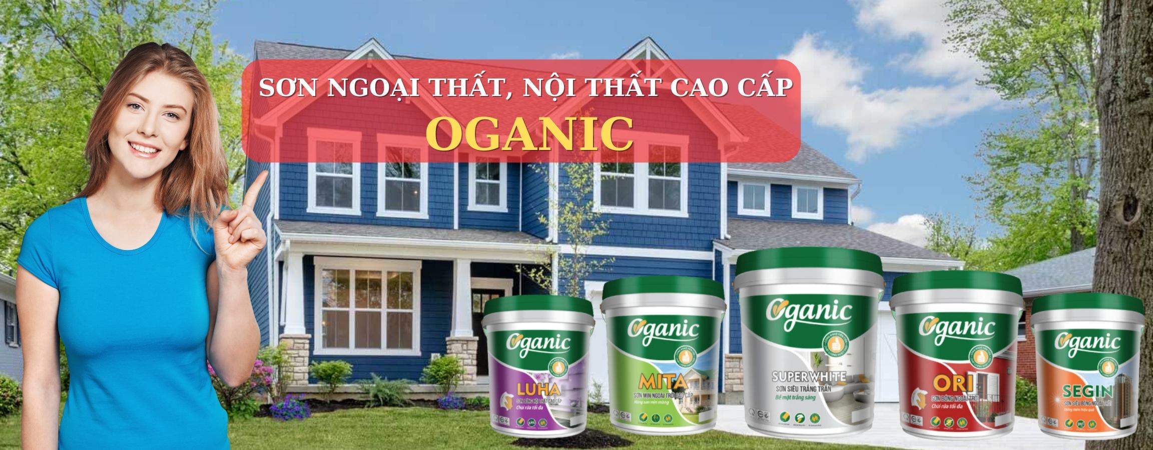 banner Trần gỗ tự nhiên 2